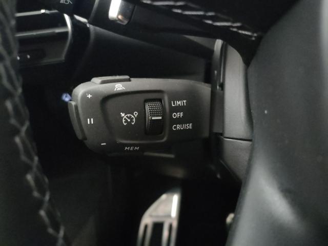 DS AUTOMOBILES DS 7 usata, con Luci diurne LED