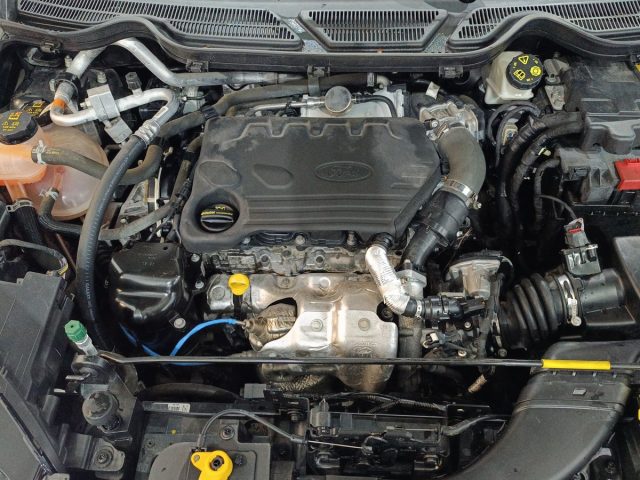 FORD EcoSport usata, con Sensore di pioggia