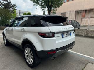 LAND ROVER Range Rover Evoque usata, con Airbag Passeggero
