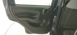 FIAT Panda usata 36