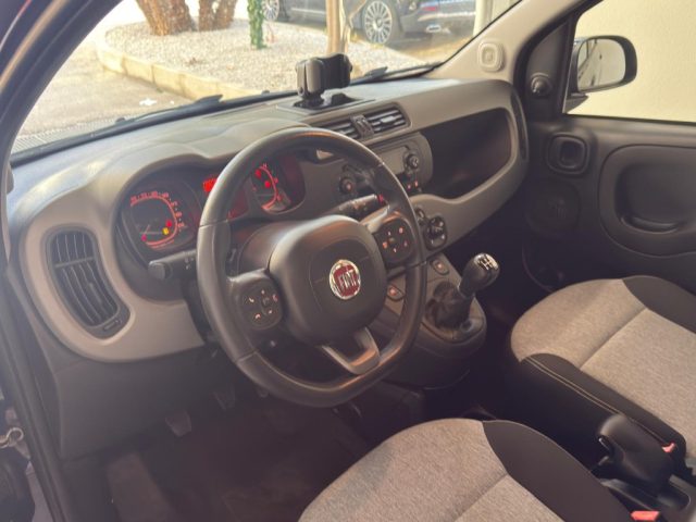 FIAT Panda usata, con Airbag testa