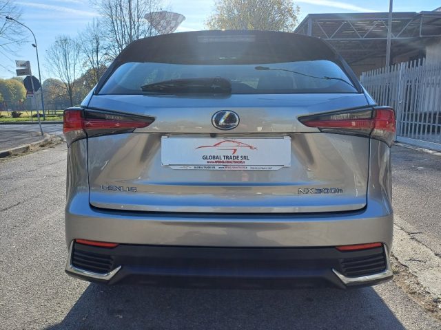 LEXUS NX 300 usata, con Antifurto