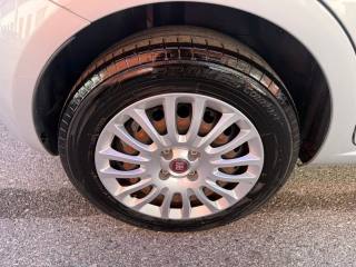 FIAT Punto usata 12