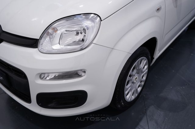 FIAT New Panda usata 21