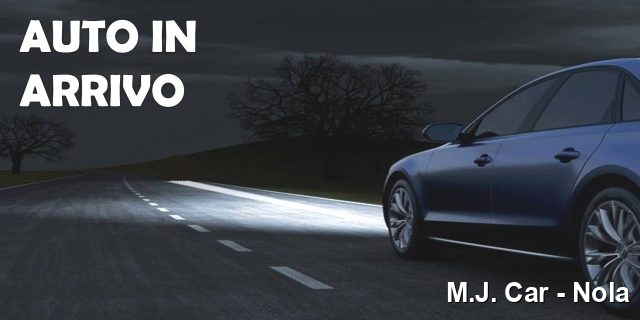 MINI Countryman usata, con ABS