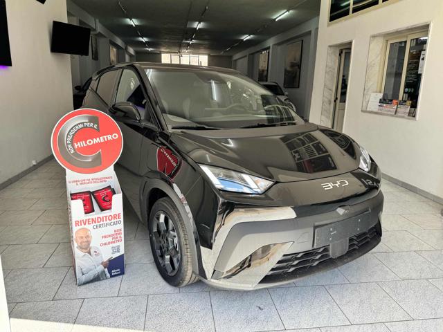 BYD Dolphin Surf usata, con Airbag laterali