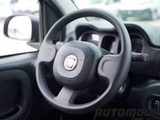 FIAT Panda usata 12