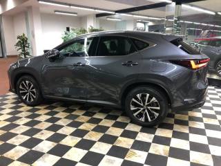 LEXUS NX 450h usata, con Cerchi in lega
