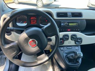FIAT Panda usata, con Controllo trazione