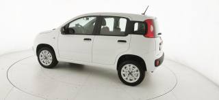 FIAT Panda usata 28