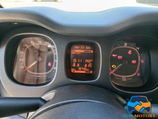 FIAT Panda usata 13