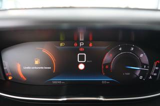 PEUGEOT 3008 usata 51