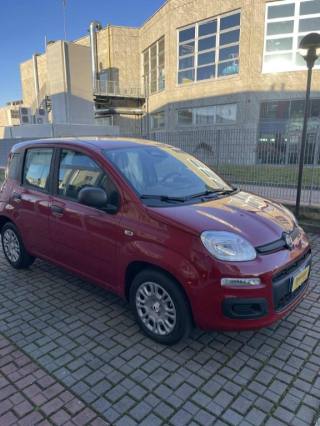 FIAT Panda usata, con Airbag Passeggero