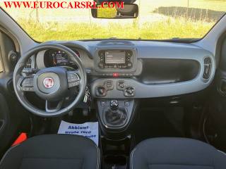 FIAT Panda usata, con Airbag testa