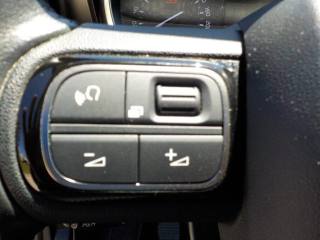 CITROEN C3 Aircross usata, con Filtro antiparticolato