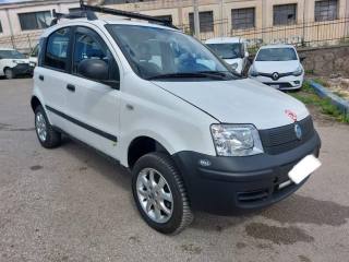 FIAT Panda usata 2