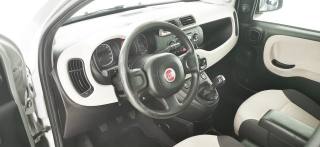 FIAT Panda usata 42