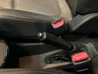 DACIA Spring usata 19