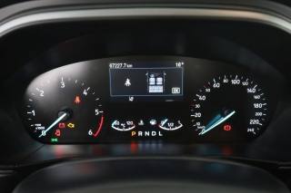 FORD Focus usata 6