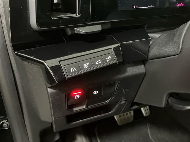 RENAULT Austral usata 24