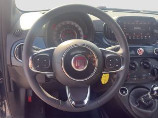 FIAT 500 usata 12