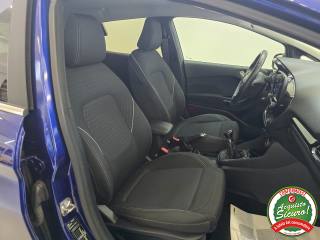 FORD Fiesta usata 24
