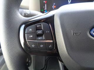 FORD Transit Custom usata 13
