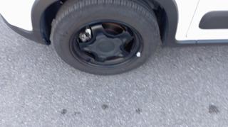 FIAT Panda usata, con Controllo trazione