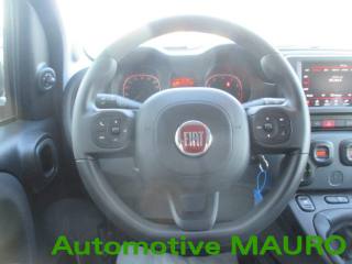FIAT Panda Cross usata 19