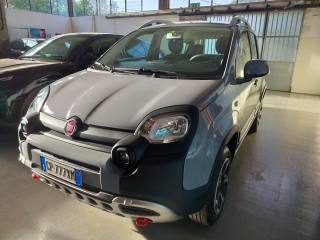 FIAT Panda Cross usata, con Antifurto
