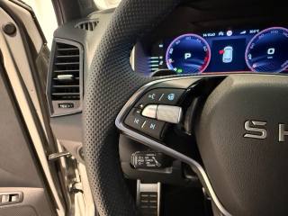 SKODA Karoq usata, con Controllo automatico clima