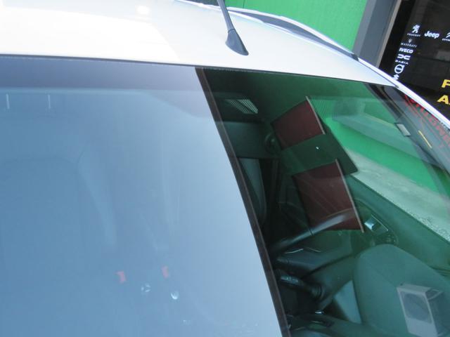 FORD EcoSport usata 18