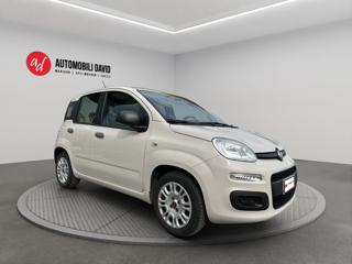 FIAT Panda usata, con Airbag