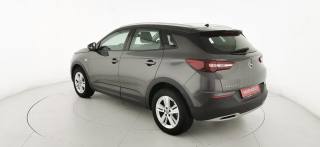 OPEL Grandland X usata, con Sistema di chiamata d