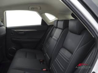 LEXUS NX 300h usata 9