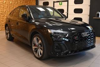 AUDI SQ5 usata 123