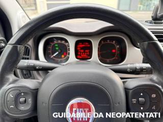 FIAT Panda Cross usata, con Controllo trazione