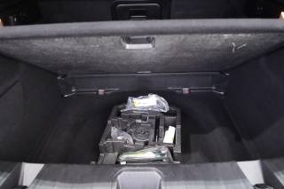 ALFA ROMEO Tonale usata 34