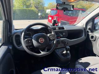 FIAT Panda usata, con Climatizzatore