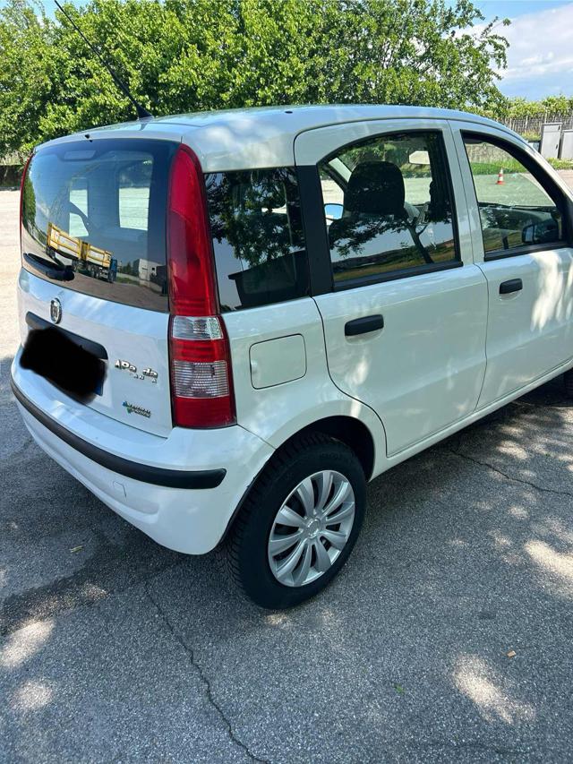 FIAT Panda usata 3