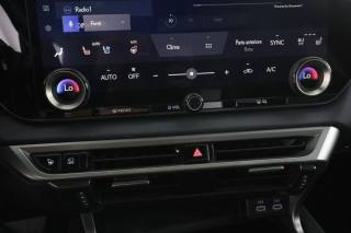LEXUS RX 450h usata 12