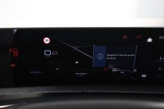 PEUGEOT 3008 usata 6
