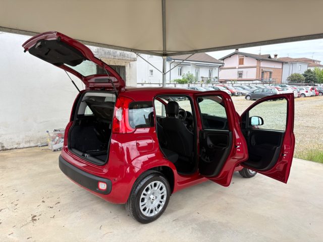 FIAT Panda usata 41