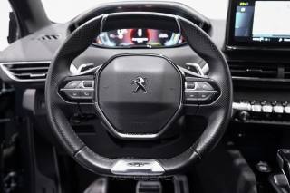 PEUGEOT 3008 usata, con Servosterzo