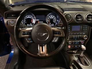 FORD Mustang usata, con Fendinebbia
