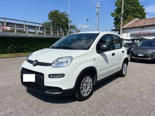 FIAT Panda usata, con ESP