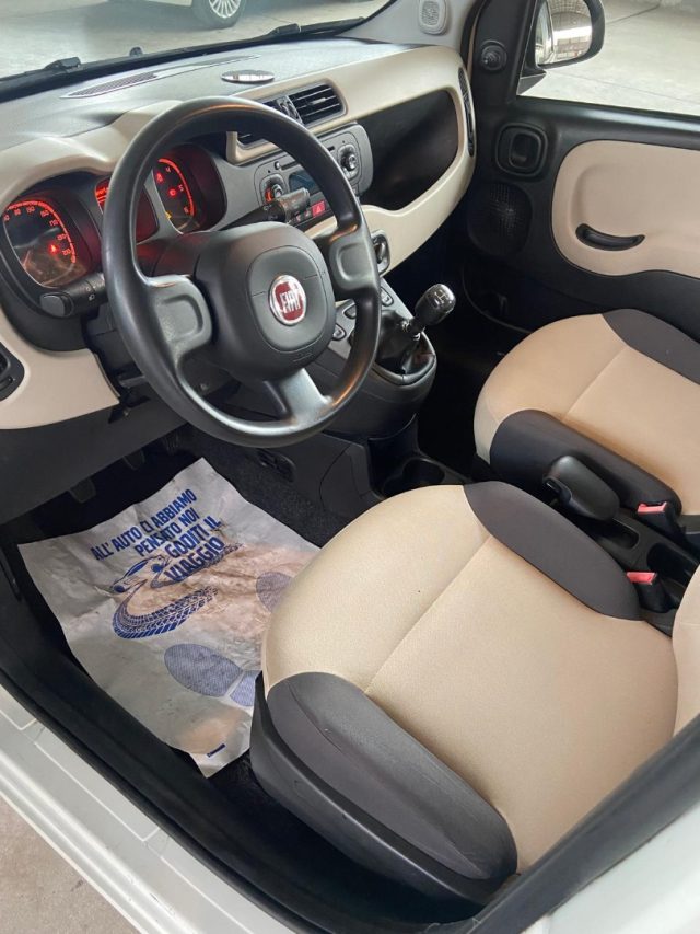 FIAT Panda usata 10