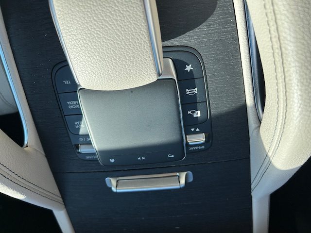 MERCEDES-BENZ GLE 350 usata, con ESP