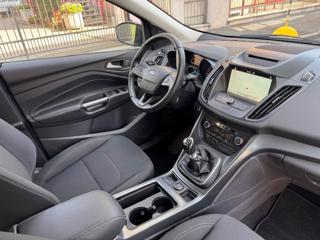 FORD Kuga usata, con Filtro antiparticolato