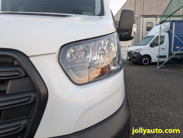 FORD Transit usata, con Fendinebbia